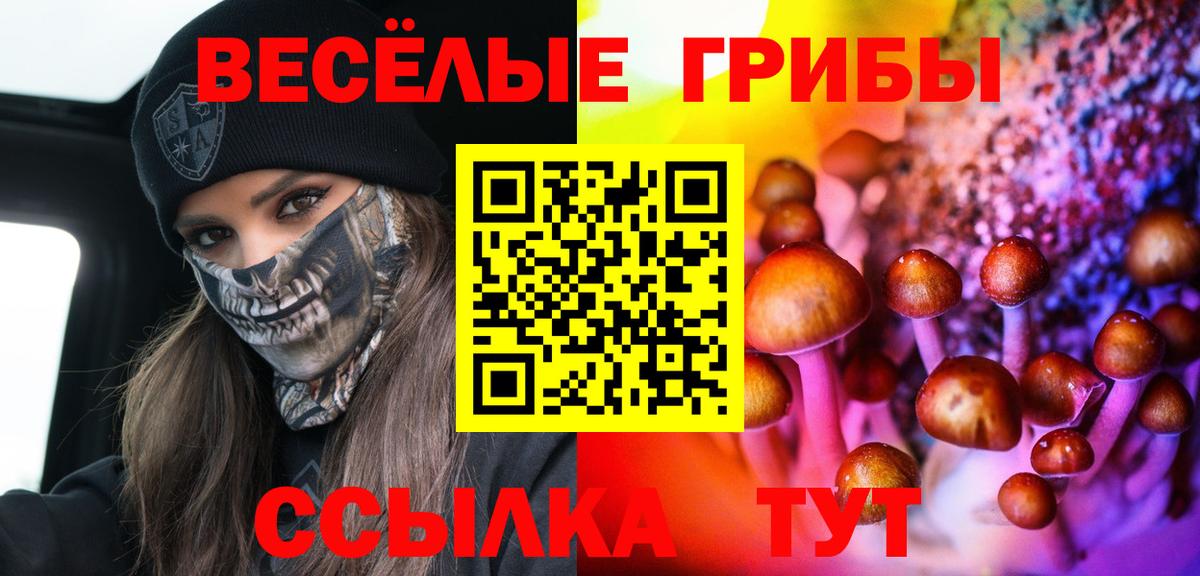 Клинцы  Галлюциногенные грибы Cubensis  Вход с VPN 